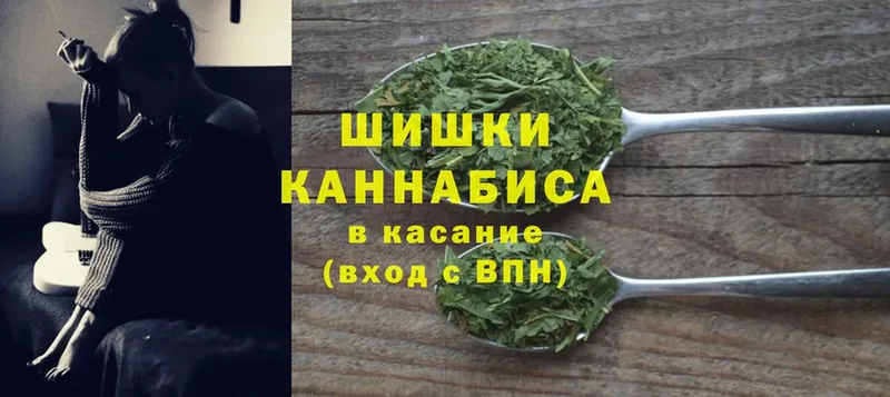 купить   Павловский Посад  Бошки марихуана сатива 